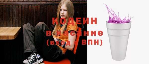 хмурый Абаза