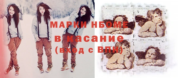 хмурый Абаза