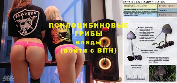 СК Абдулино