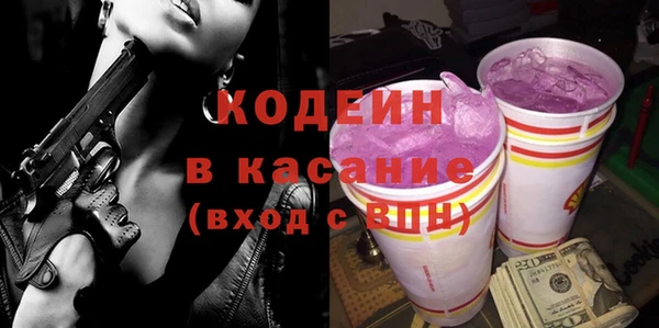 хмурый Абаза