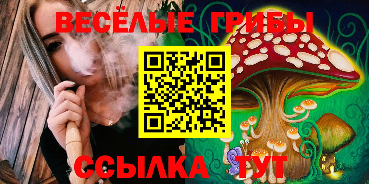 Псилоцибиновые грибы Magic Shrooms Звенигород