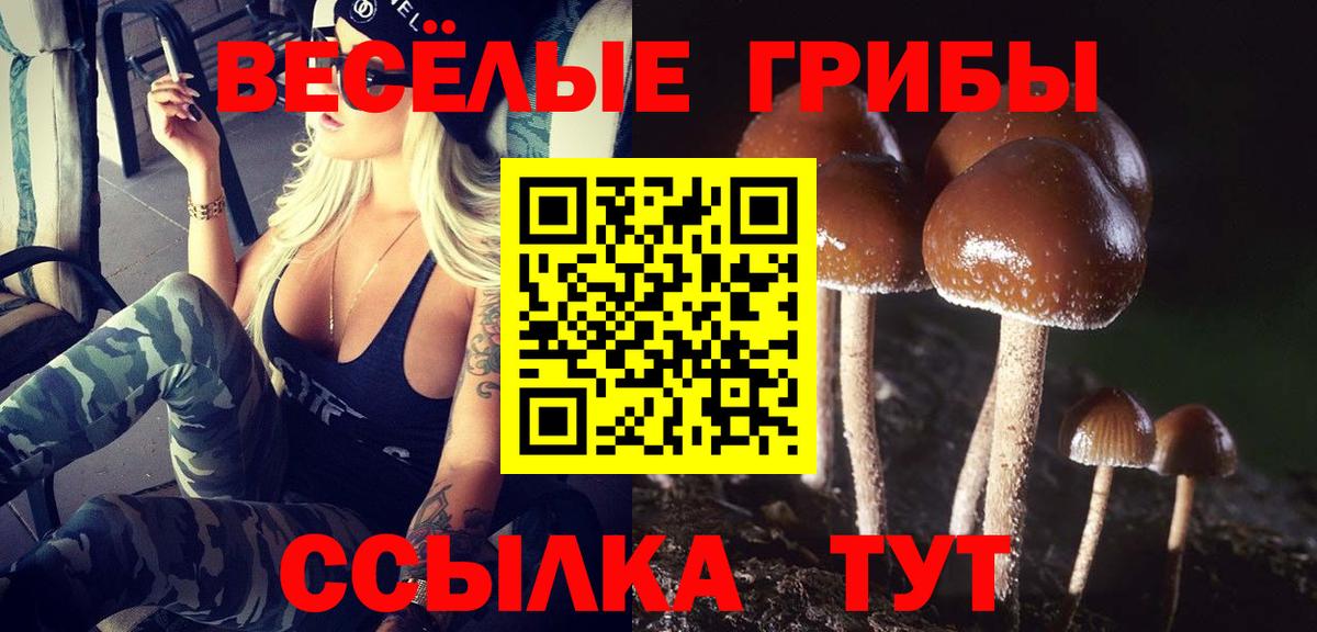 Псилоцибиновые грибы Cubensis  Псилоцибиновые грибы прущие грибы  Вход с VPN  где найти   Звенигород 